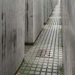 24-12-08 13-03-37 1784